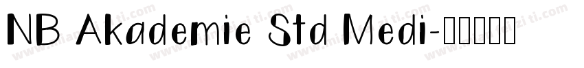 NB Akademie Std Medi字体转换